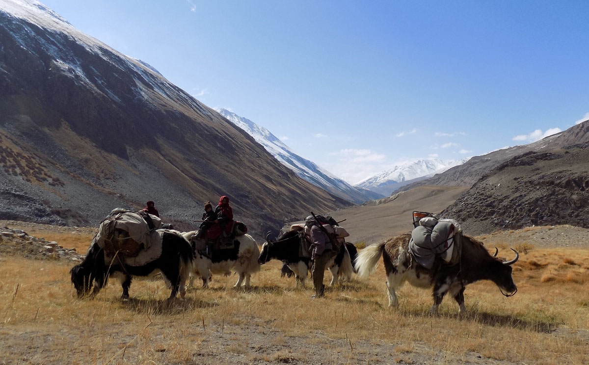 This picture taken on October 7, 2017 shows Kyrgyz nomad families travelling on Yaks in the Wakhan Corridor in Afghanistan.