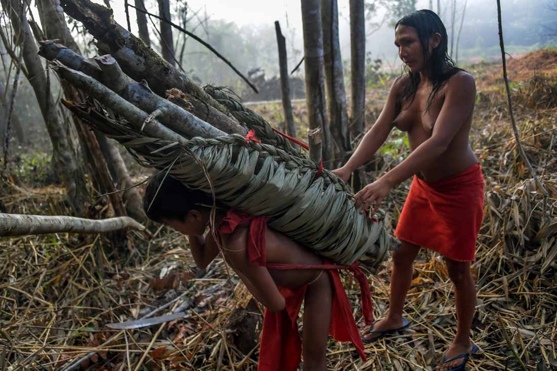 A Waiapi boy and his mother carry wood for a fire pit, at the Manilha village in the Waiapi indigenous reserve in Amapa state in Brazil on October 13, 2017.