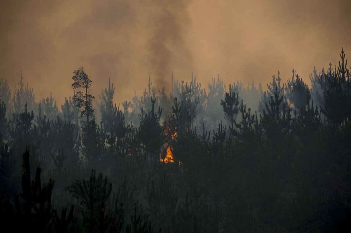 View of a forest fire in Llico, 250 km south of Santiago, on January 27, 2017.
