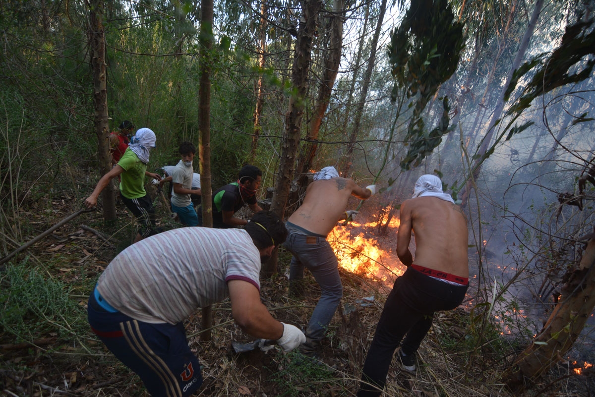 A group of young volunteers from the nearby city of Lirquen, work in a effort to extinguish a forest fire in Concepcion, Biobio region, Chile on January 28, 2017.