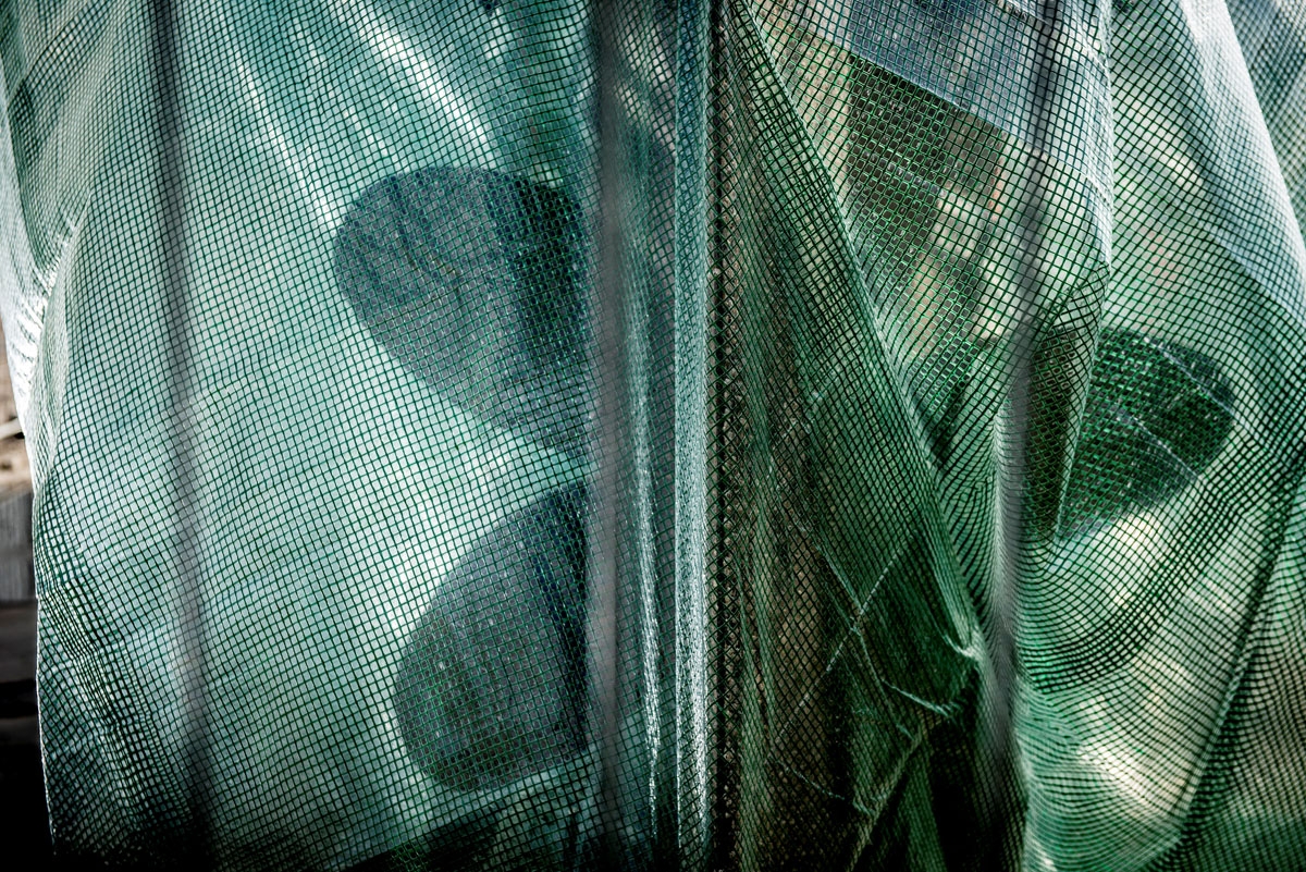 A picture taken on April 25, 2018 shows a detail of the homemade submarine UC3 Nautilus as it is covered with green tarpaulin in Nordhavn, a harbour area in Copenhagen, Denmark.