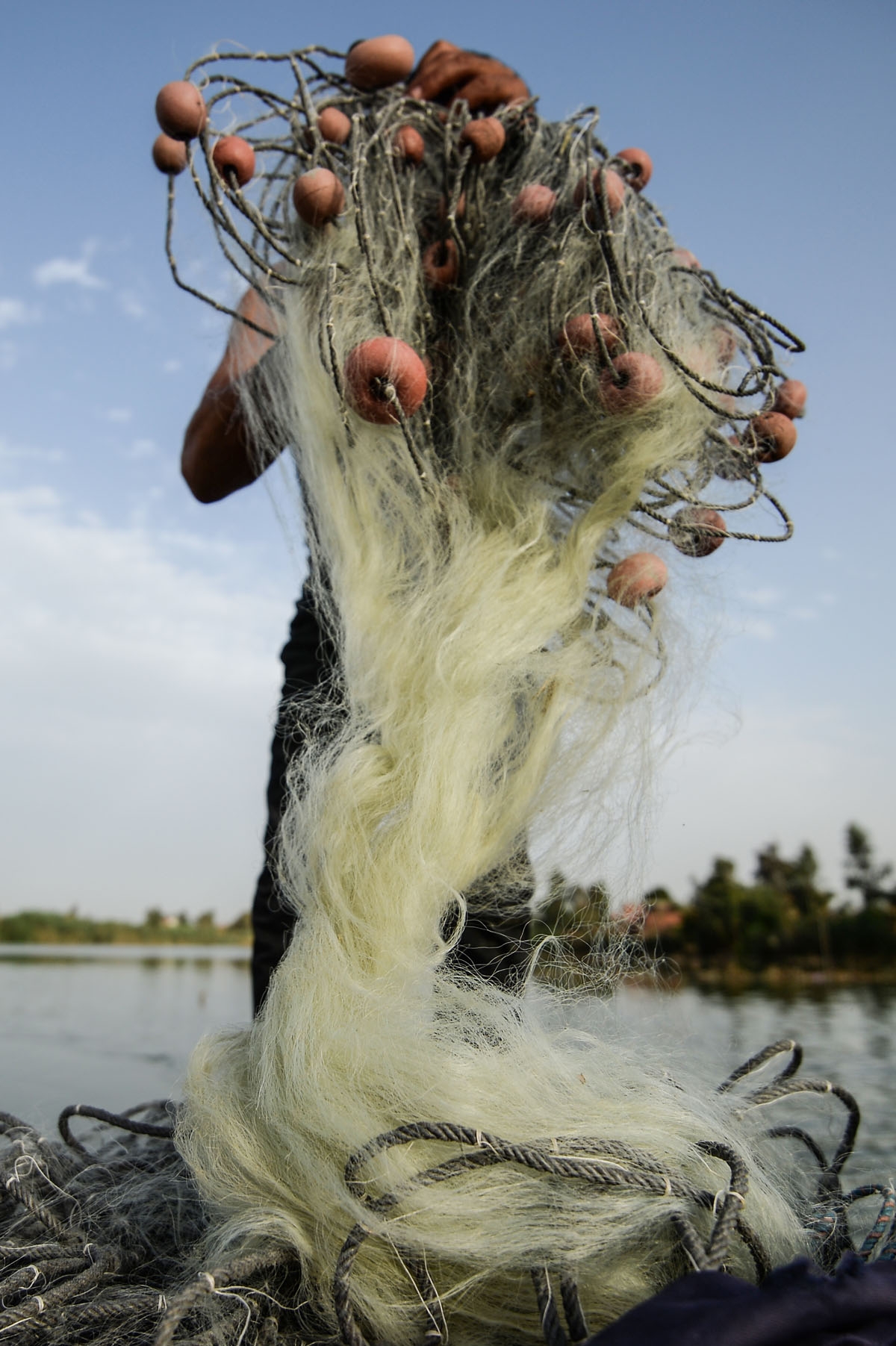 An Egyptian Fisherman handles a net on his boat in the waters of the Pharaonic Sea in the village of Kafr Fisha, province of Munuf, on June 16, 2018.