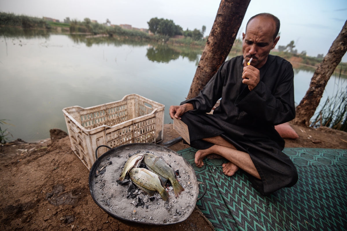 An Egyptian fisherman roasts fish on a coal bed, by the Pharaonic Sea in the village of Kafr Fisha, province of Munuf, on June 16, 2018.
