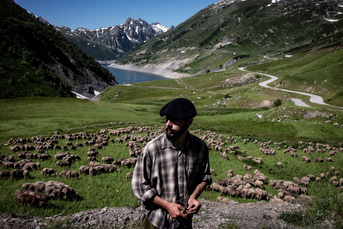 French shepherd Gaetan Meme, 24-years-old, looks over a flock of sheep, on June 21, 2018, along the Alpine pastures in the mountains near the Col du Glandon, in the French Alps. - Gaetan shepherds a flock of 1,300 sheep in the Alpine pastures from June to