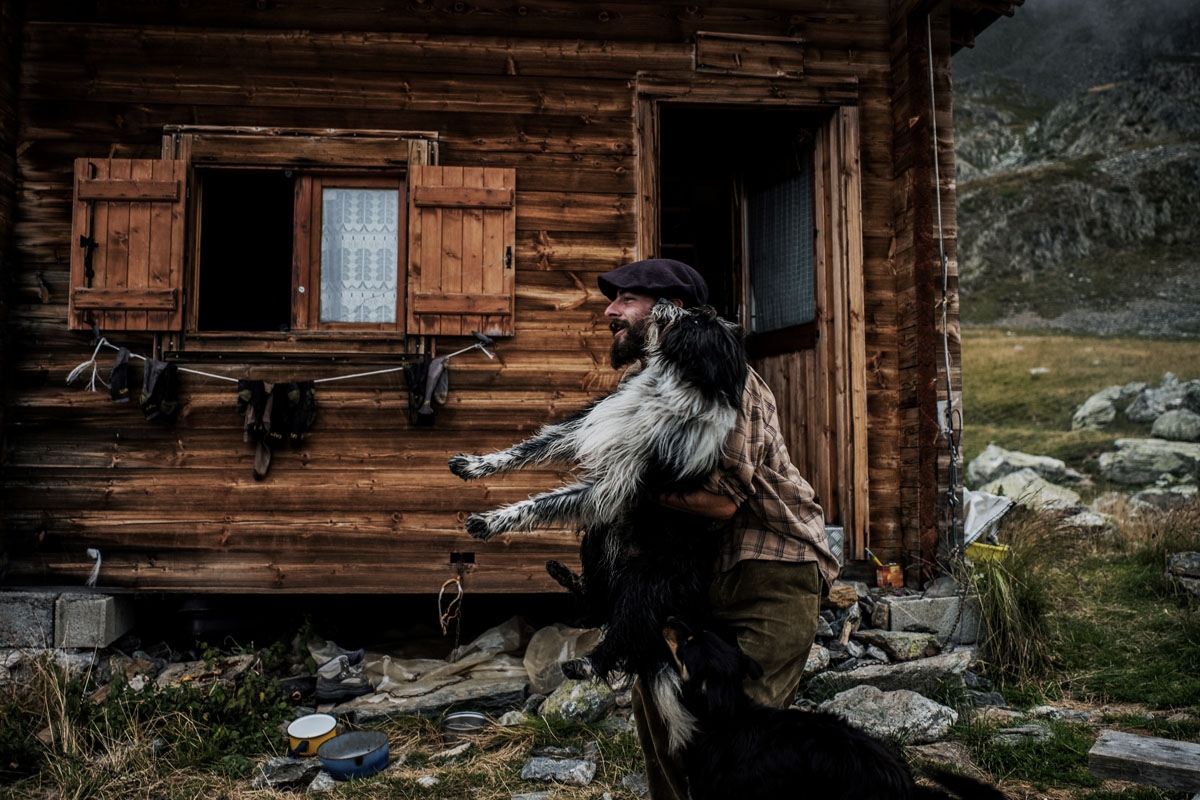 French shepherd Gaetan Meme, 24-years-old, plays with one of his dogs in front of his altitude hut, on August 20, 2018, in the mountains near the Col du Glandon, in the French Alps. - Gaetan shepherds a flock of 1,300 sheep in the Alpine pastures from Jun