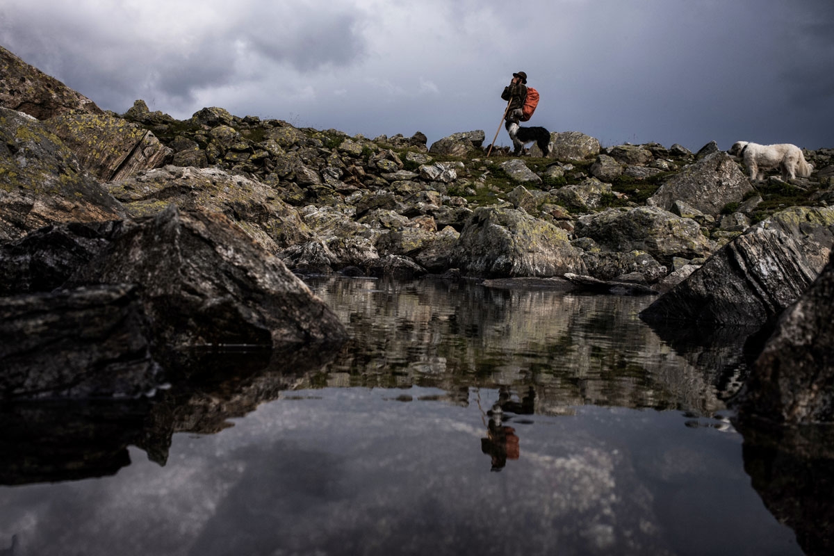 French shepherd Gaetan Meme, 24-years-old, instructs his dogs to gather his flock of sheep as the weather turns stormy, on August 21, 2018, along the Alpine pastures in the mountains near the Col du Glandon, in the French Alps. - Gaetan herds a flock of 1