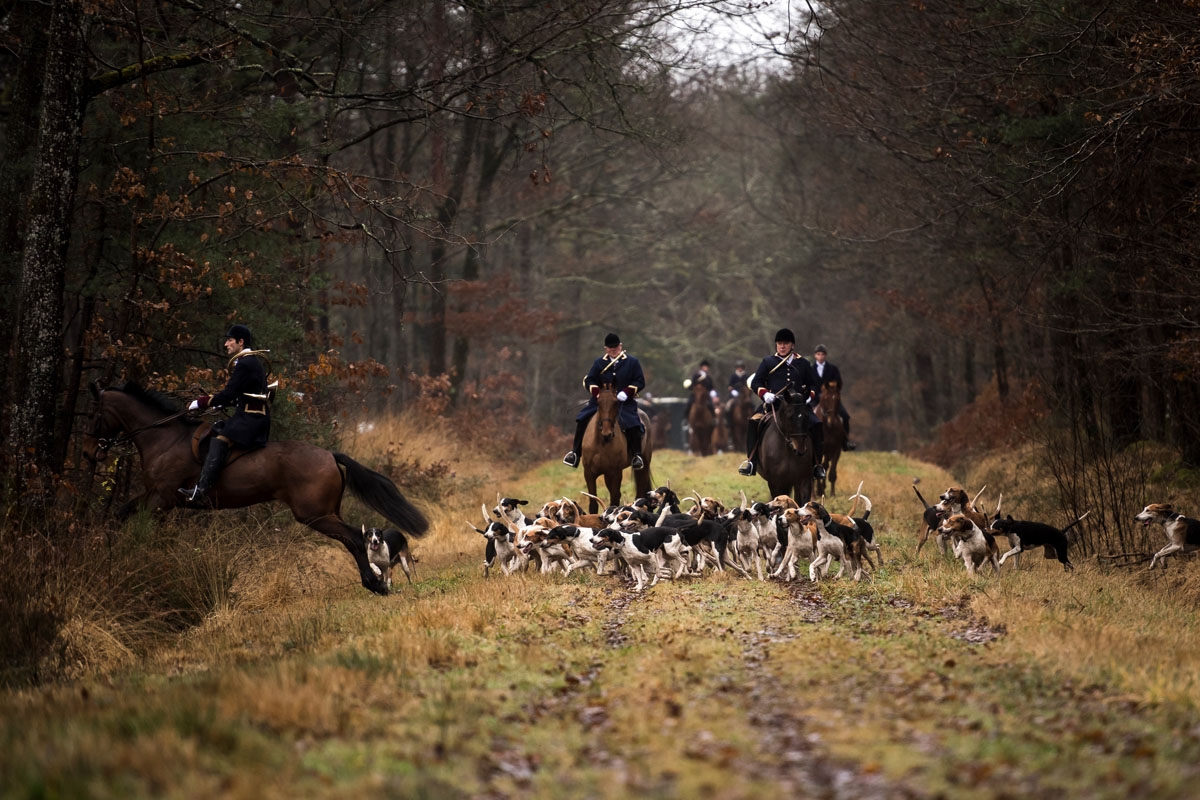 Huntsman Philippe Prioux (L), from the Rallye Tempete rides his horse during a hunting with hounds on December 23, 2017 in the forest near Chatenoy, center France.