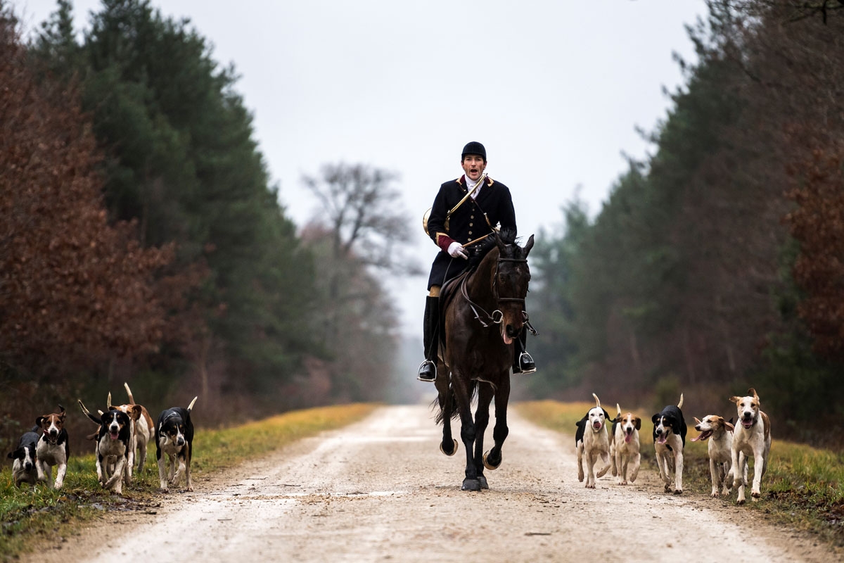 Huntsman,Philippe Prioux, from the Rallye Tempete rides his horse during a hunting with hounds on December 23, 2017 in the forest near Chatenoy, center France.