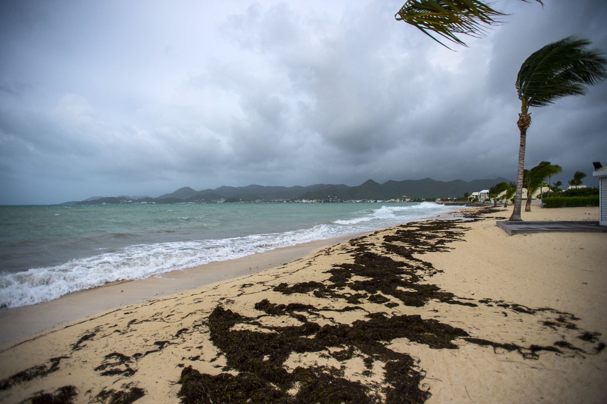 A picture taken on September 5, 2017 shows a view of the Baie Nettle beach in Marigot, with the wind blowing ahead of the arrival of Hurricane Irma.