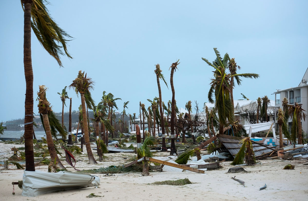 A photo taken on September 6, 2017 shows broken palm trees on the beach of the Hotel Mercure in Marigot, near the Bay of Nettle, on the French Collectivity of Saint Martin, after the passage of Hurricane Irma.