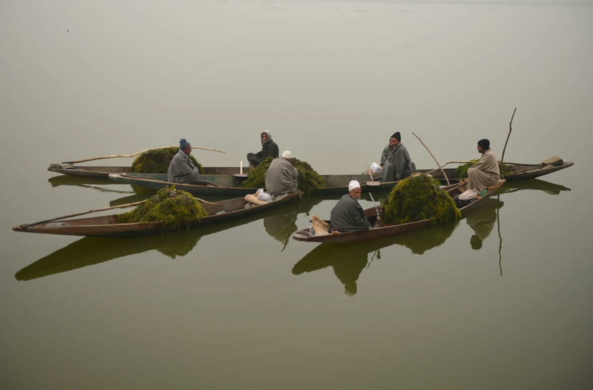 Members of Kashmir's Lakes and Waterways Authority collect weeds lying on the surface of Dal Lake during a dense fog in Srinagar on November 20,2016