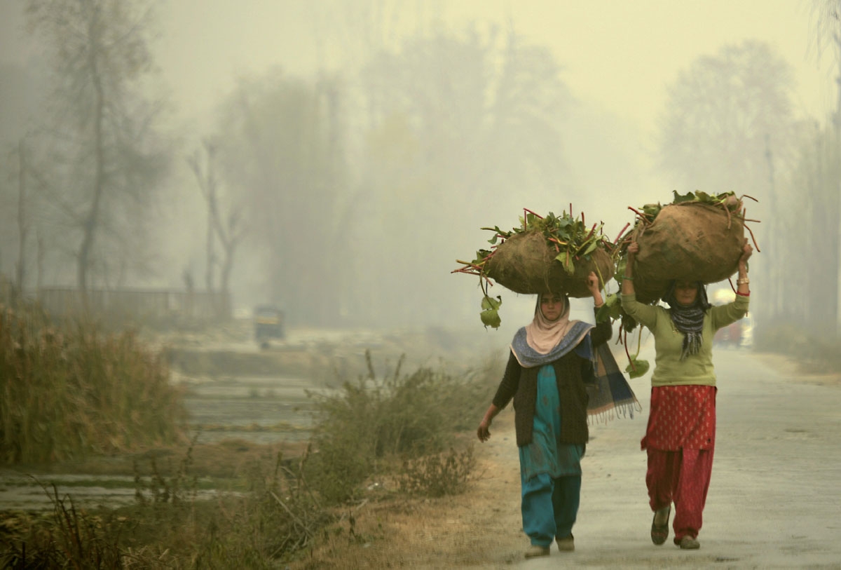 Kashmiri women carry lotus roots for cattle feed on a cold, winter's day in Srinagar on November 23, 2016.