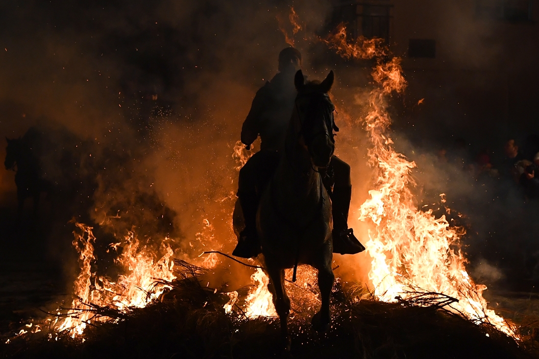 A horseman jumps over a bonfire in the village of San Bartolome de Pinares in the province of Avila in central Spain, during the opening of the traditional religious festival Luminarias in honour of San Antonio Abad (Saint Anthony), patron saint of animal
