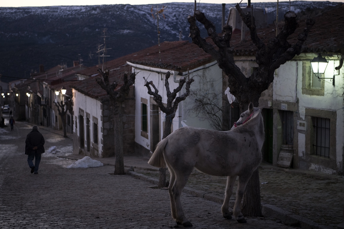 The village of San Bartolome de Pinares ahead of the festival.