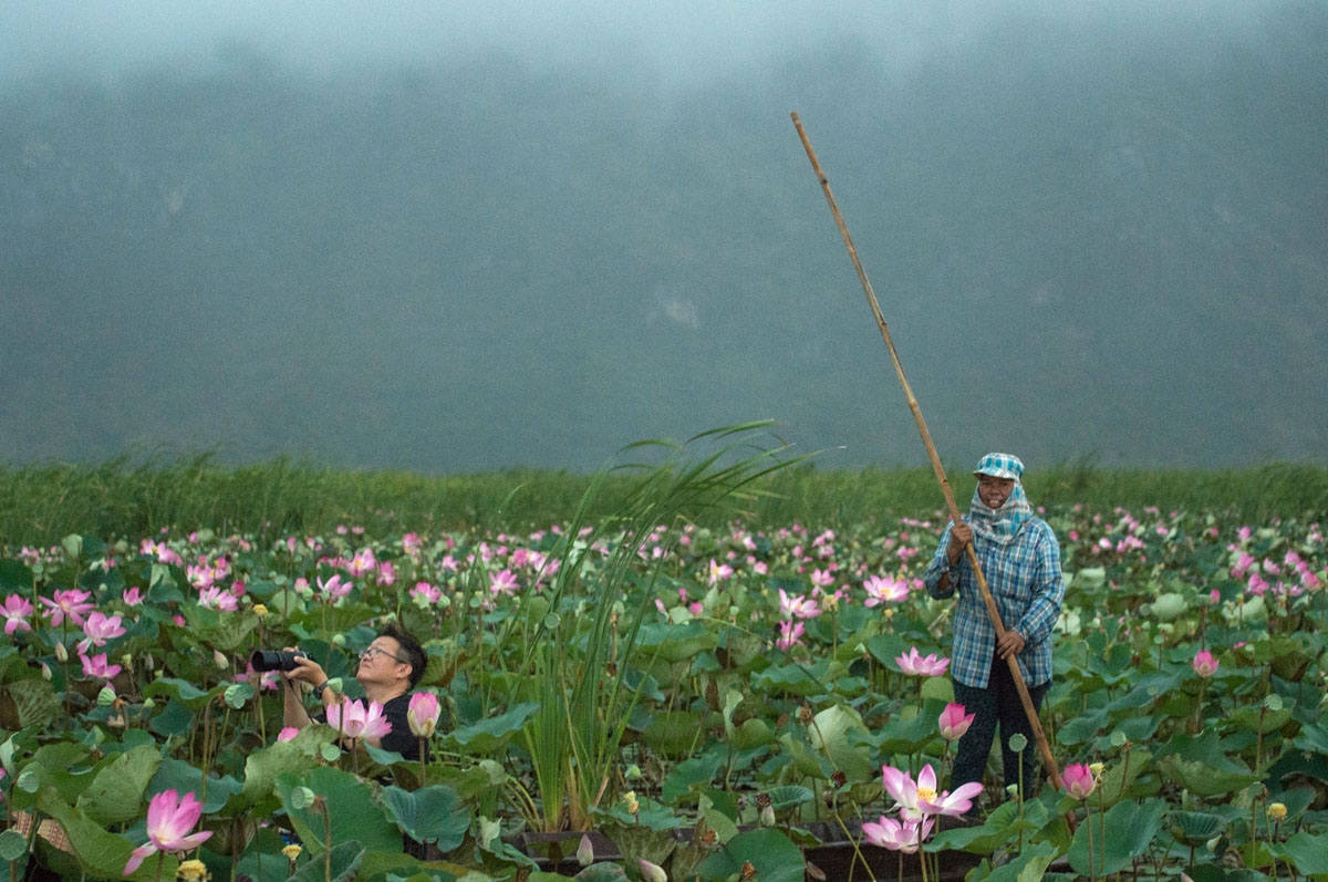 In this photograph taken on May 5, 2017, a tourist takes a photograph of lotus flowers while on a canoe on a lake in the Khao Sam Roi Yot national park in southern Thailand.
