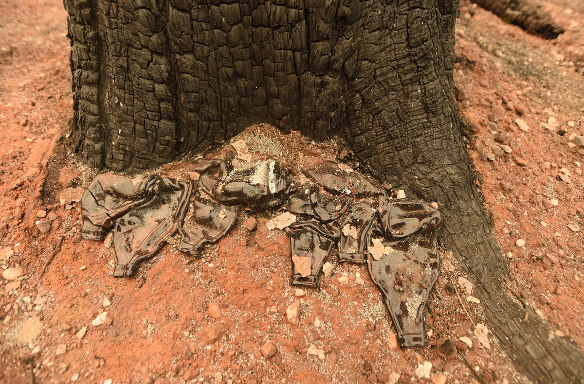 Melted bottles lay at the foot of a burned tree after the Camp fire tore through in Paradise, California, on November 10, 2018.