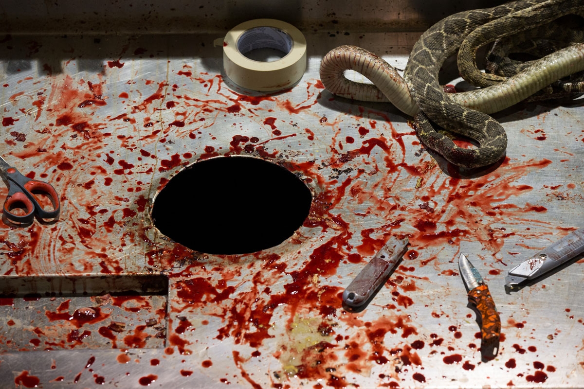 The rattlesnake skinning area is pictured during the Sweetwater Rattlesnake Roundup at Nolan County Coliseum? on March 10, 2018 in Sweetwater, Texas. / AFP PHOTO / Loren Elliott