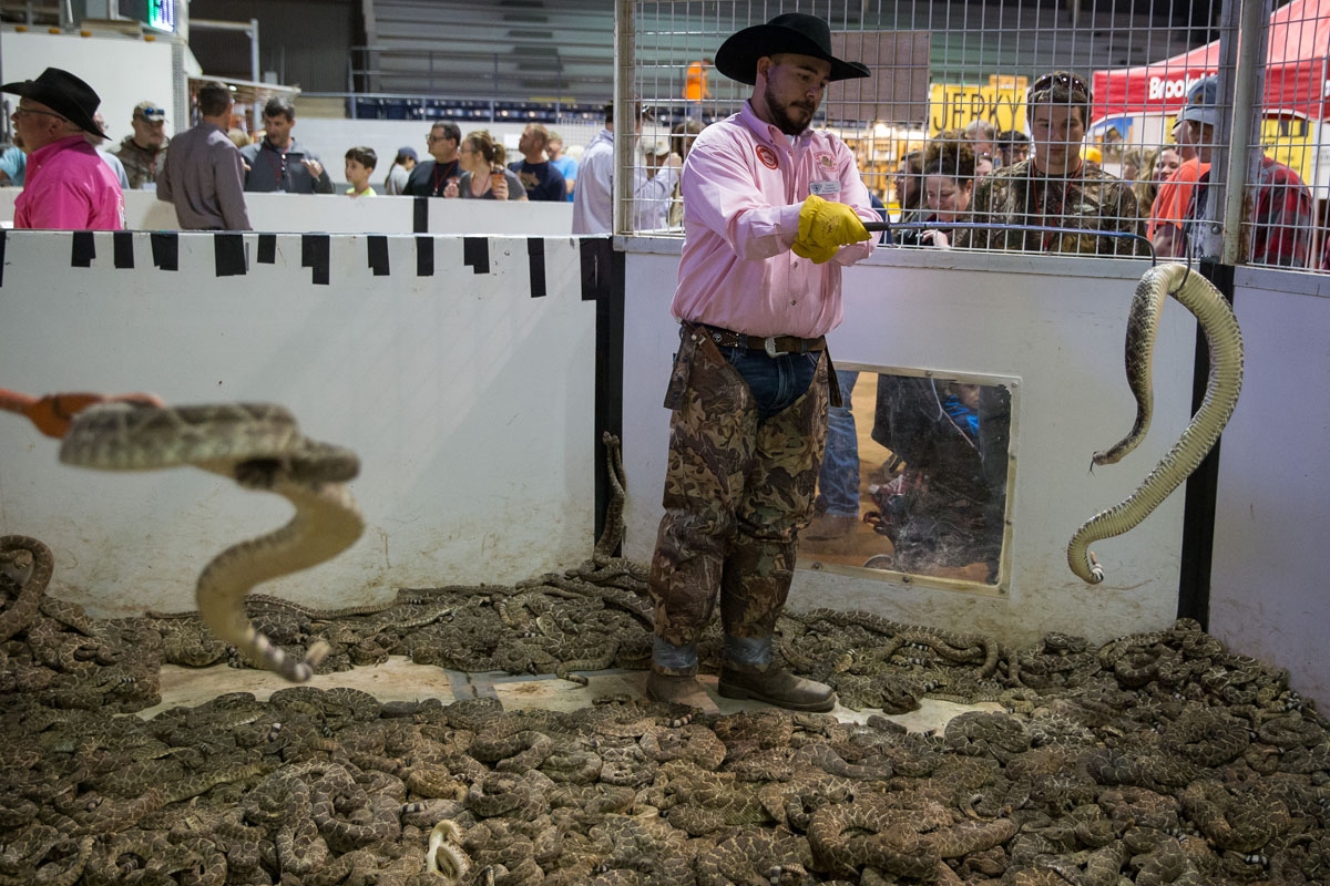 Travis Gardner holds up a rattlesnake for attendees during the Sweetwater Rattlesnake Roundup, March 10, 2018.