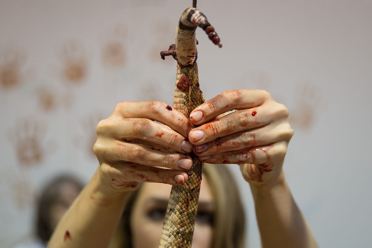 Miss Texas Margana Wood skins a rattlesnake during the Sweetwater Rattlesnake Roundup at Nolan County Coliseum? on March 10, 2018 in Sweetwater, Texas.