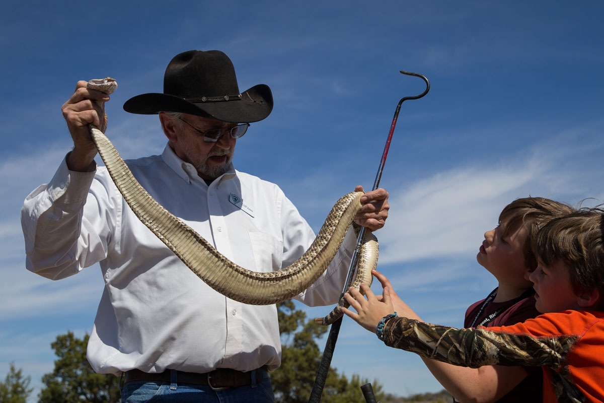 Cliff Jones holds a rattlesnake for young friends JD Farmer, 9, and Carter Farmer, 7, to inspect following a snake hunt during the Sweetwater Rattlesnake Roundup at Nolan County Coliseum on March 10, 2018 in Sweetwater, Texas.