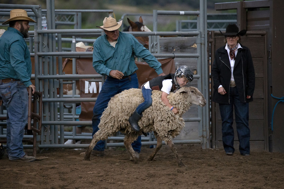 A boy participates in mutton bustin' as he rides a sheep at the Snowmass Rodeo on August 22, 2018, in Snowmass, Colorado. The Snowmass rodeo is on its 45th year, making it one of the longest running rodeos in Colorado.