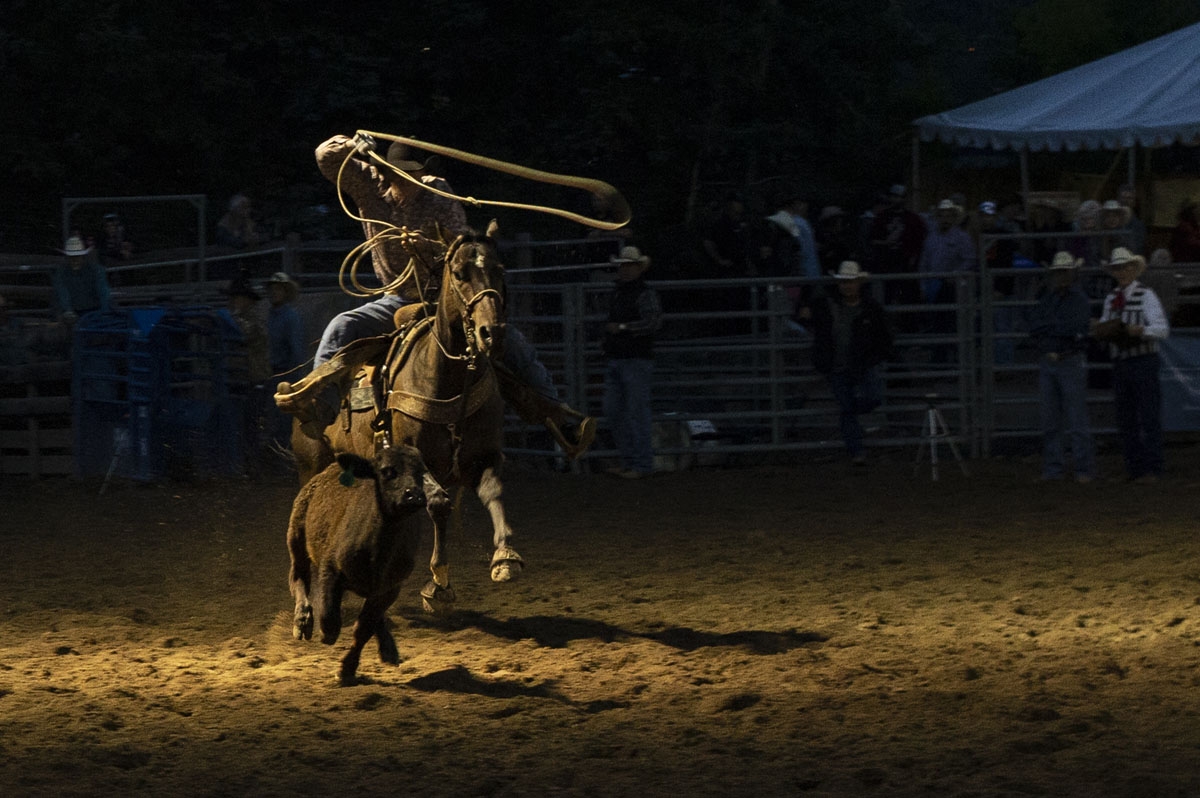A cowboy competes in the team roping event at the Snowmass Rodeo on August 22, 2018, in Snowmass, Colorado. The Snowmass rodeo is on its 45th year, making it one of the longest running rodeos in Colorado.