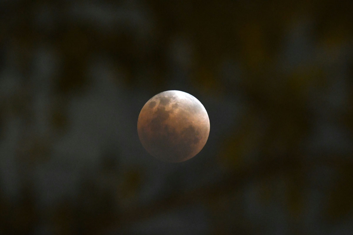 The moon is seen past tree branches during a lunar eclipse referred to as the super blue blood moon, in Singapore on January 31, 2018.