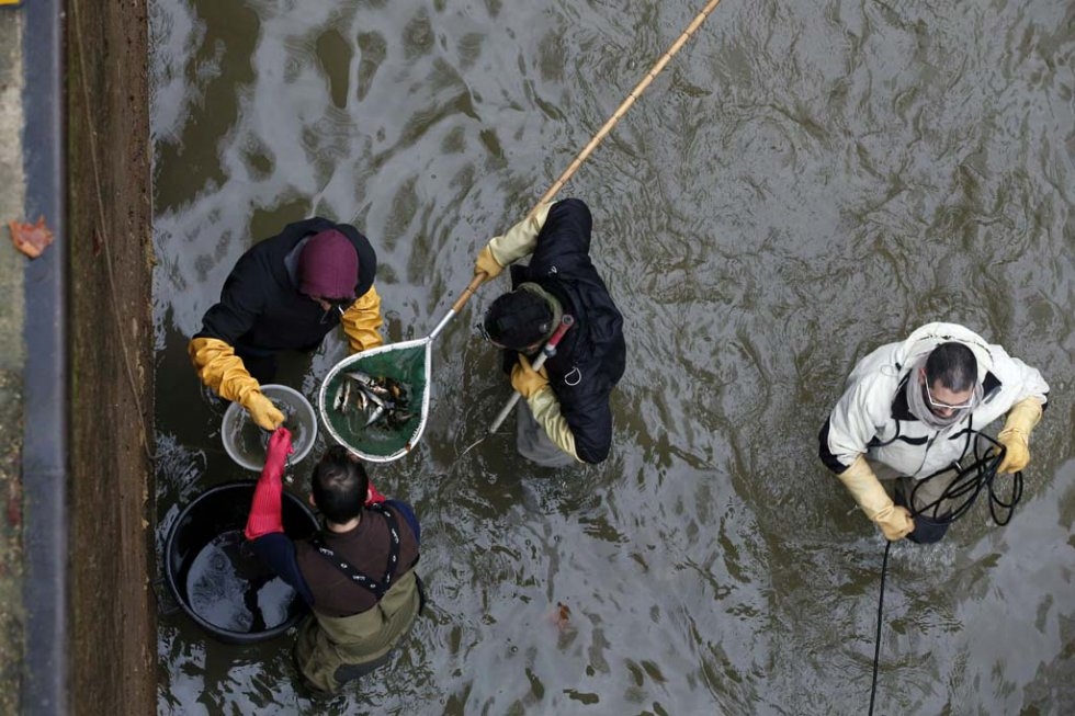 Pendant la vidange du canal Saint-Martin à Paris, en janvier 2015 (AFP / Patrick Kovarik) Pendant la vidange du canal Saint-Martin à Paris, en janvier 2015 (AFP / Patrick Kovarik)