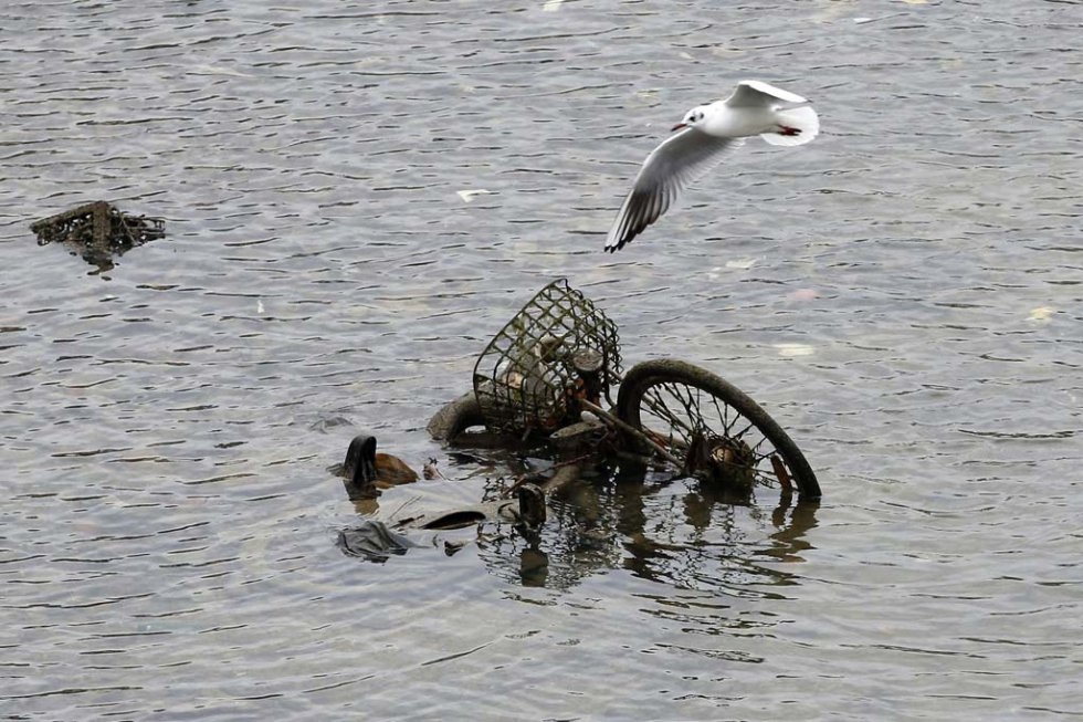 Pendant la vidange du canal Saint-Martin à Paris, en janvier 2015 (AFP / Patrick Kovarik) Pendant la vidange du canal Saint-Martin à Paris, en janvier 2015 (AFP / Patrick Kovarik)