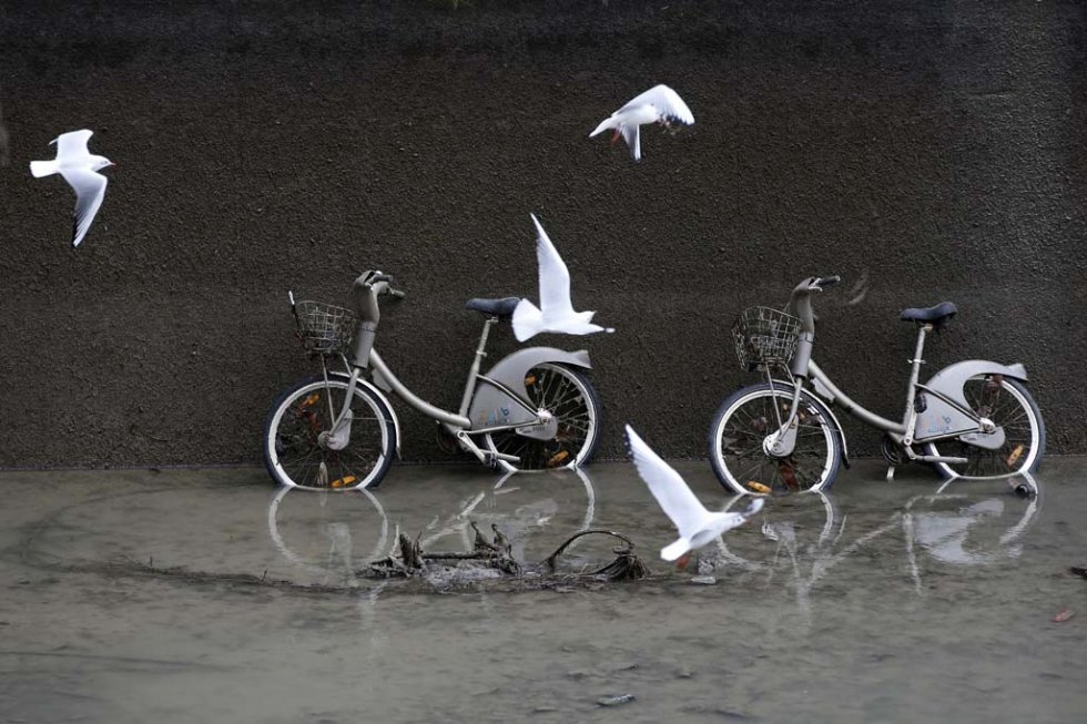 Pendant la vidange du canal Saint-Martin à Paris, en janvier 2015 (AFP / Patrick Kovarik) Pendant la vidange du canal Saint-Martin à Paris, en janvier 2015 (AFP / Patrick Kovarik)