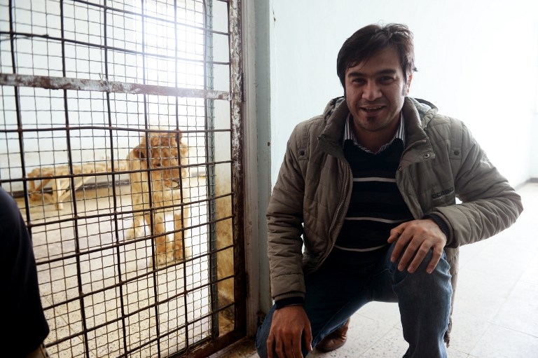 Le journaliste de l'AFP Sardar Ahmad au zoo de Kaboul, pendant <a href="/node/2438">son dernier reportage</a> le 18 mars 2014 Le journaliste de l'AFP Sardar Ahmad au zoo de Kaboul, pendant <a href="/node/2438">son dernier reportage</a> le 18 mars 2014