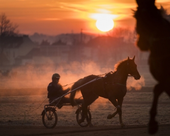 A horse and its driver attend a training session at the equestrian training center of Grosbois in Marolles-en-Brie, on December 6, 2016.  / AFP PHOTO / MARTIN BUREAU