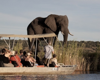BOTSWANA-ENVIRONMENT-WILDLIFE-ELEPHANTS-FILES